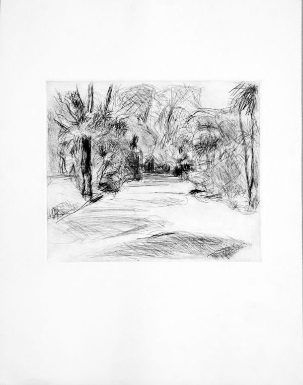 8934P.Gardens.0-0-1977.Drypoint-A3-